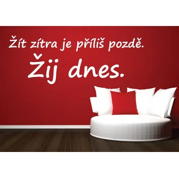 Samolepící dekorace Samolepky na zeď-Nápis-Žij dnes - S (60 x 22 cm)