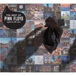 A Foot In The Door: The Best Of Pink…