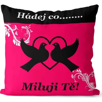 Dekorativní polštářek Polštář Hádej co (Velikost: 40 x 40 cm)