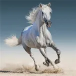 Jerry Fabrics White Horse 40 x 40 cm