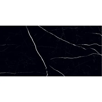 Dlažba Black Pulpis pol - dlaždice rektifikovaná 59,8x119,8 černá 6004023