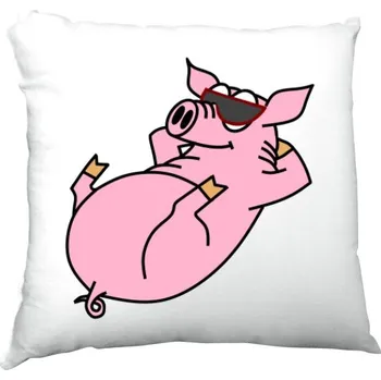 Bytový textil Polštář saténový s potiskem Vendy na polštářku