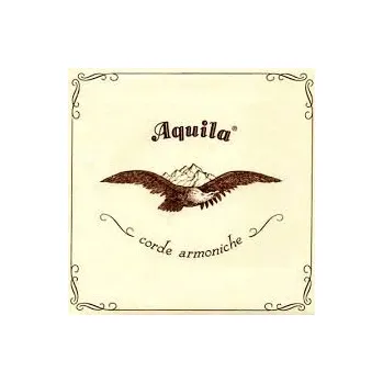 Struna pro kytaru a smyčcový nástroj Aquila Corde Armoniche di Peruffo Mimmo e C.s.a.s. Aquila, struna New Nylgut (NNG) - hladká (krátká menzura) 120 cm Aquila, Struna New Nylgut (NNG) - hladká (krátká menzura): průměr 94 NNG , délka 120 cm