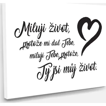Obraz Obraz na plátně Miluji život 60 x 40 cm