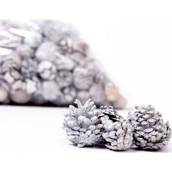 Zahradní dekorace Su Mix Šišek Whitewashed 1kg (97030010)