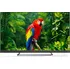 Televizor TCL 65" LED (65EC780)