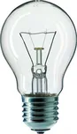 TECHLAMP Tes-Lamp A60 200W E27