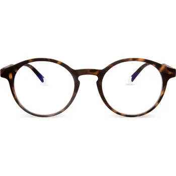 Barner Brand 2.0 Tortoise Le Marais