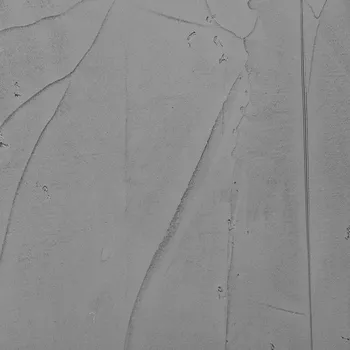 Fasádní barva CERESIT CT 760 Visage | Pohledový beton | Tokyo Graphite - 20 kg