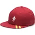 Kšiltovka VANS x Harry Potter Gryffindor Vintage Unstructured Hat VN0A3I6LSP3 uni