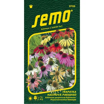 Semeno SEMO Smržice Třapatka Nachová PARADISO
