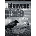 DVD Nabarvené ptáče (2020)