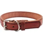 Tamer obojek hnědý