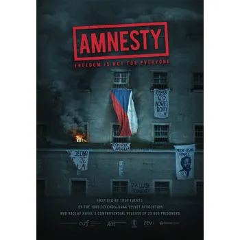 DVD film DVD Amnestie (2020)