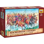 Zvezda Wargames (AoB) Macedonian…