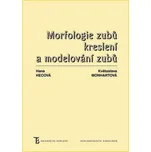 Morfologie zubů: Kreslení a modelování…