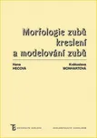 Morfologie zubů: Kreslení a modelování…