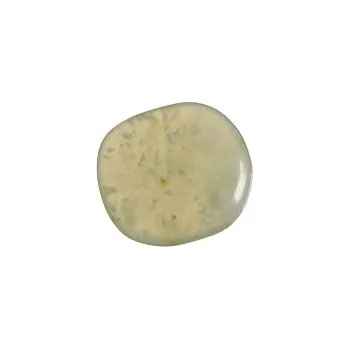 Drahý kámen Serpentin, tromlovaná placička 43 mm