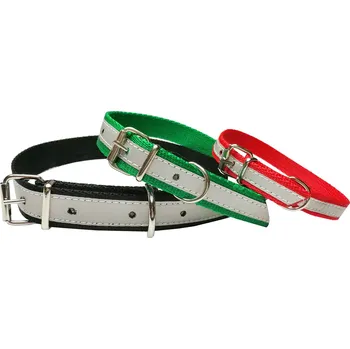 Obojek pro psa fenix Obojek nylon reflexní zelená 40cm 2