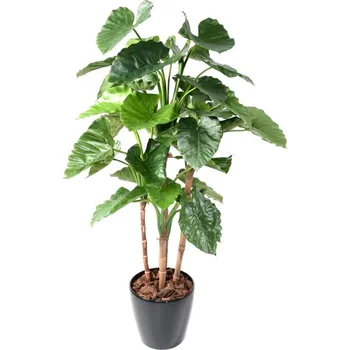 umělá květina Luxusní umělá květina ALOCASIA CALIDORA TB, 170cm