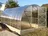 zahradní skleník Volya LLC 2DUM 6 x 3 m PC