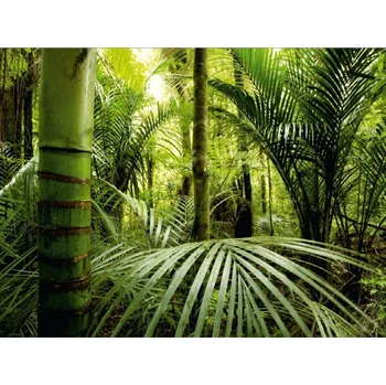 Fototapeta Vliesová fototapeta Palmy FTNXXL-0465 / fototapety na zeď Prairie (360 X 270 cm) AG Design