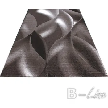 Ayyildiz Hali Kusový koberec PLUS 8008 Brown Rozměr 80x150 cm