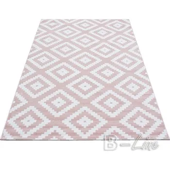 Ayyildiz Hali Kusový koberec PLUS 8005 Pink Rozměr 80x150 cm