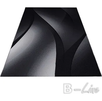 Koberec Ayyildiz Hali Kusový koberec PLUS 8010 Black Rozměr 120x170 cm