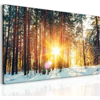 Obraz Malvis Les - První sníh Velikost: 60x40 cm