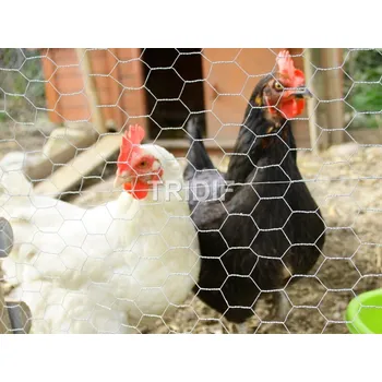 Pletivo Pletivo šestihran pozinkované / oko 13 / průměr drátu 0.7 / výška 1000 mm / délka 50 bm