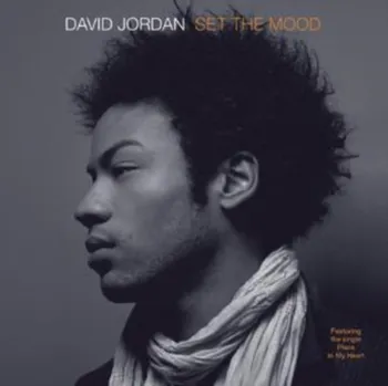 Zahraniční hudba Set The Mood - Jordan David [CD]