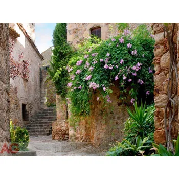 Fototapeta Vliesová fototapeta Středomořská romantická ulička FTNXXL-1145 / fototapety na zeď Řecko, Patio (360 X 270 cm) AG Design