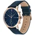 Hodinky Tommy Hilfiger 1710405