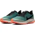 Dámská běžecká obuv Nike W Zoom Pegasus 36 Trail Gtx Bv7763-300