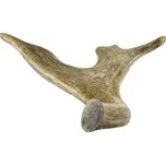 Chew Chew Dančí paroh gigant 180-230 g