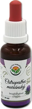 Přírodní produkt Salvia Paradise Ostropestřec mariánský AF tinktura 30 ml