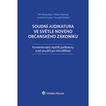 Soudní judikatura ve světle nového občanského zákoníku: Komentovaný rejstrík judikatury a její použití pro rekodifikaci - Bezouška Petr, Hulmák Milan, Psutka Jindřich