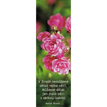 Doplněk ke knize B021 - Záložka do knihy - velké věci