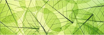 Fototapeta Dimex KI-180-048 Žilky listů 180 x 60 cm