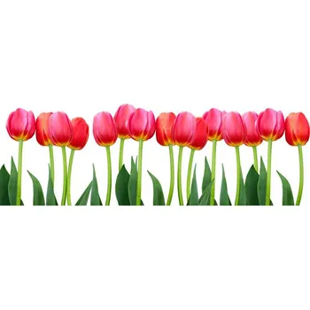 Fototapeta Dimex KI-180-058 Tulipány 180 x 60 cm