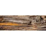 Dimex KI-180-062 Kůra stromu 180 x 60 cm