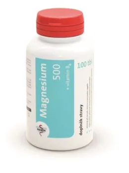 Fagron Magnesium 500 + vitamín B6 tbl. 100