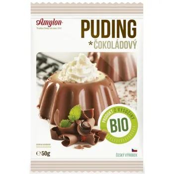 Amylon puding bio 40 g