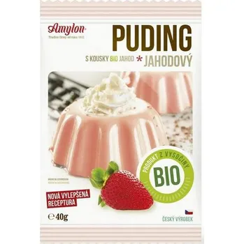 Amylon puding bio 40 g