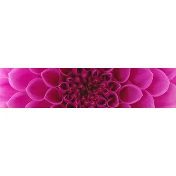 Fototapeta Samolepicí fototapeta na kuchyňskou linku Růžová jiřina KI260-049 / Fototapety do kuchyně Dimex (260 x 60 cm)