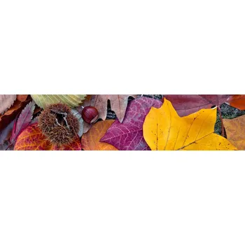 Fototapeta Samolepicí fototapeta na kuchyňskou linku Podzimní listí KI260-047 / Fototapety do kuchyně Dimex (260 x 60 cm)