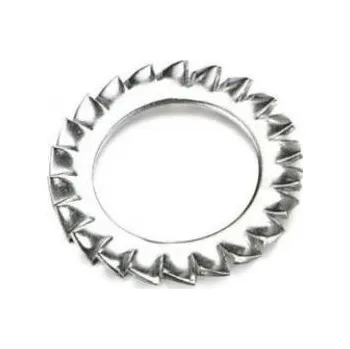 Matice Podložka vějířová vnější DIN 6798 Zn M 10