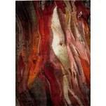Kusový koberec Rust 21304-910 red , rozměr cm 160 x 230