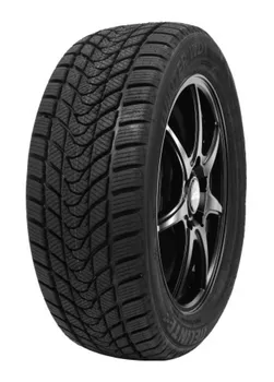Zimní osobní pneu Delinte WD1 165/70 R14 81 T